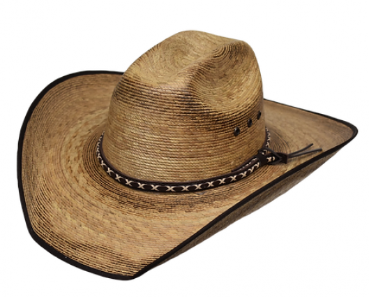 HANK RCA TORCHED PALM HAT