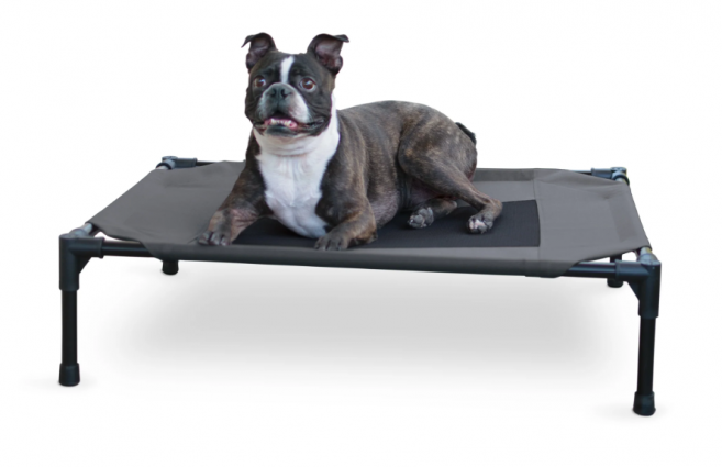 PET COT CHARCOAL MED 25X32