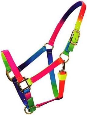 RAINBOW HALTER HORSE ADULT