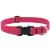 1" LUPINE NEON PINK 12-20"