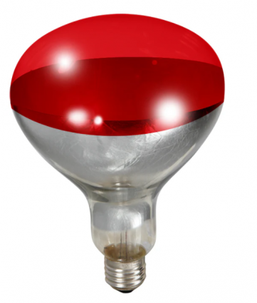 250W RED POULTRY HEAT BULB