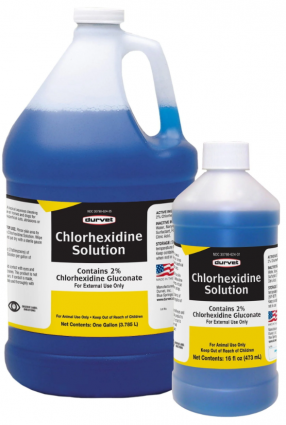 DURVET CHLORHEXIDINE SOL 1GAL