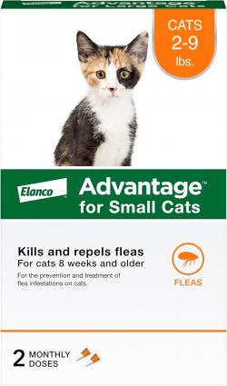 ADVANTAGE SMALL CAT 2 PACK