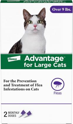 ADVANTAGE LARGE CAT 2 PACK