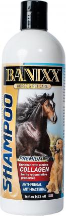 BANIXX MEDICATED SHAMPOO 16OZ