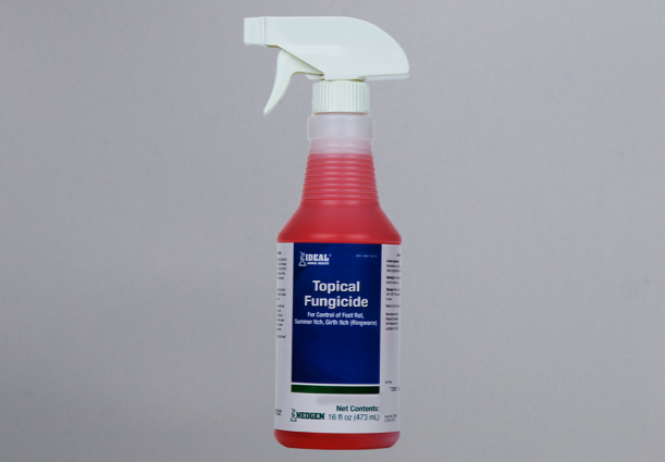 TOPICAL FUNGICIDE 16OZ