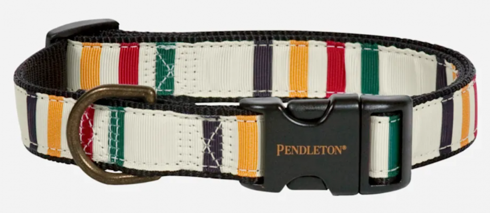 PENDLETON HIKE COLLAR GLACIER SM