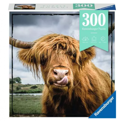 HIGHLAND CATTLE 300 PC PUZZLE