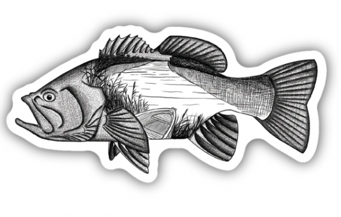 BASS SCENE STICKER