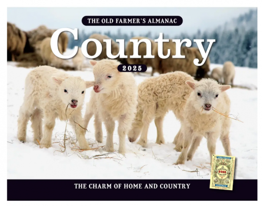 2026 COUNTRY CALENDAR