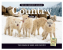2026 COUNTRY CALENDAR