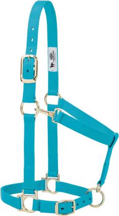 TOUGH 1 NYLON HALTER TEAL