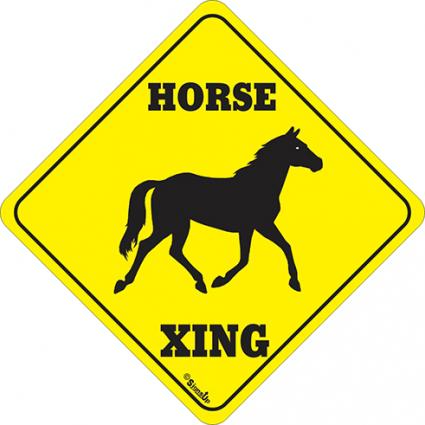 HORSE XING