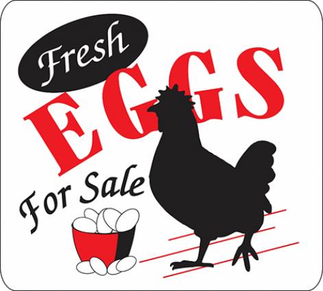 FRESH EGGS FOR SALE