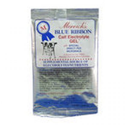 BLUE RIBBON ELECTROLYTE GEL 4OZ