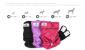DOG DIAPERS WASHABLE PRINCESS SM