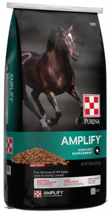 10# PURINA AMPLIFY