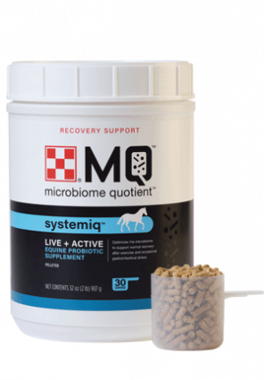 2# PURINA EQUINE SYSTEMIQ SUPP