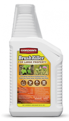 LARGE PROPERTY BRUSH QT