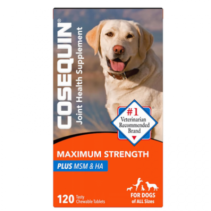 COSEQUIN MAX W/MSM CHEW 120CT