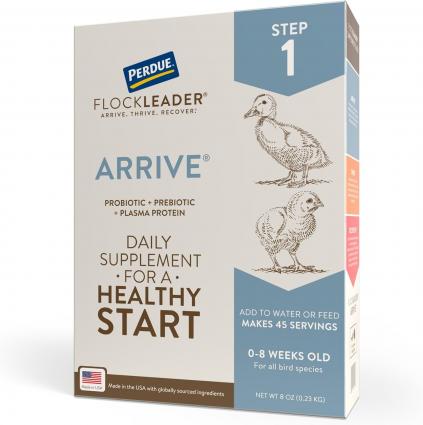 FLOCKLEADR ARRIVE WATER SUPPLMNT