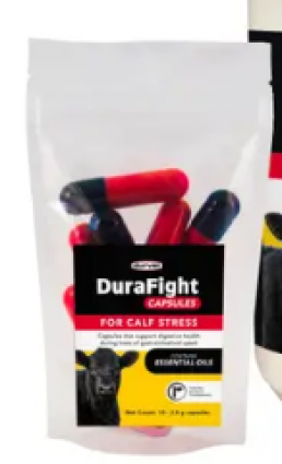 DURVET DURAFIGHT 10CT
