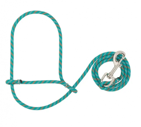 SHEEP HALTER W/SNAP TURQ/ORG/GRY