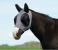 LYRCRA COOLING MASK GRAPHITE LG