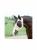 LYRCRA COOLING MASK FLOWER SM