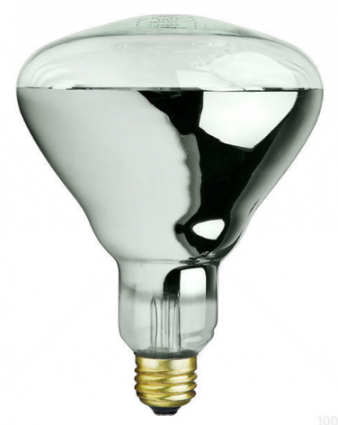 125 WATT CLEAR HEAT LAMP