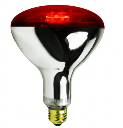 250 WATT RED HEAT LAMP SINGLE PK