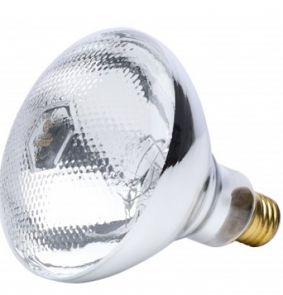 125 WATT CLEAR HEAT LAMP BR38