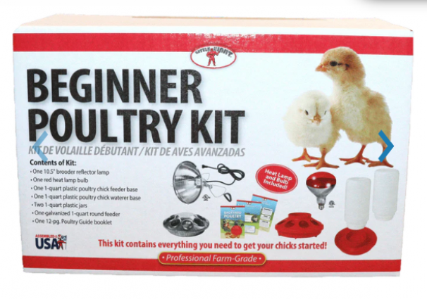 LG BEGINNER POULTRY KIT