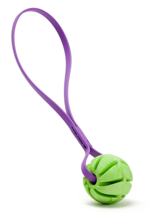 DOGLINE 2" GREEN BALL W/PURPLE