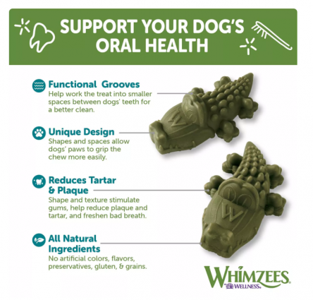 WHIMZEES ALLIGATOR MEDIUM