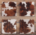COWHIDE COASTER SET