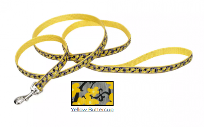 1" LEASH YELLOW BUTTERCUP 6'