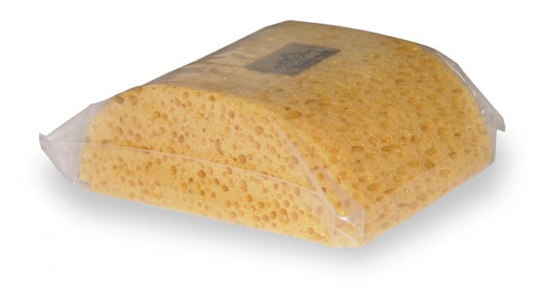 HUMPBACK SPONGE