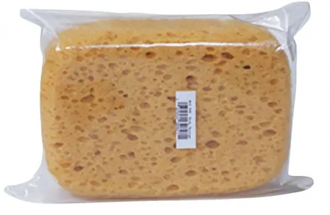 BODY SPONGE