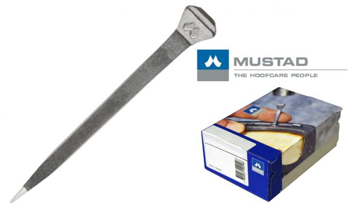 1BX/100EA CITY HEAD #5 NAILS