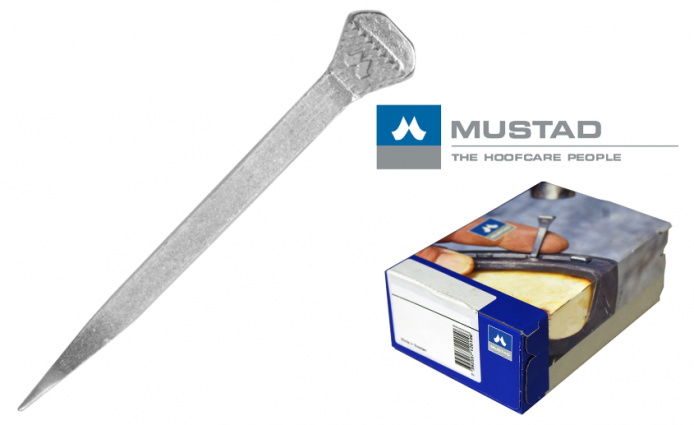 1BX/100EA CITY HEAD #6 NAILS