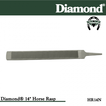 14" HORSE RASP AND FILE