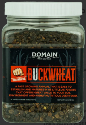 BUCKWHEAT #1