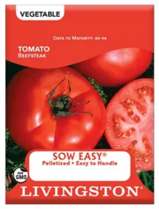 BEEFSTEAK BUSH TOMATO