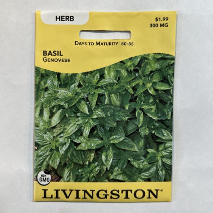 GENOVESE BASIL
