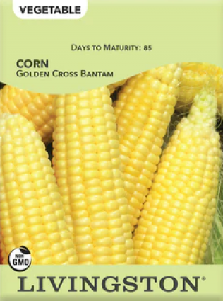 CORN-GOLDEN CROSS BANTAM