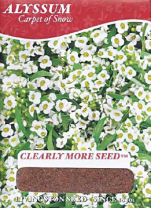 ALYSSUM-CARPET OF SNOW (A)