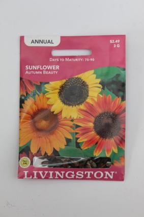 SUNFLOWER-AUTUMN BEAUTY (A)