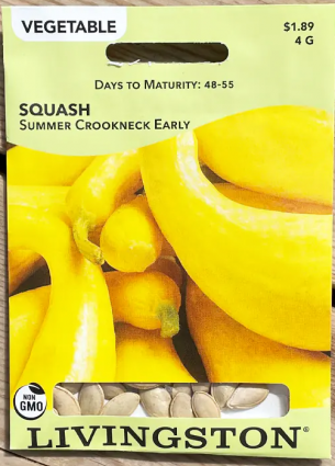 SQUASH-SUMMER CROOKNECK EA