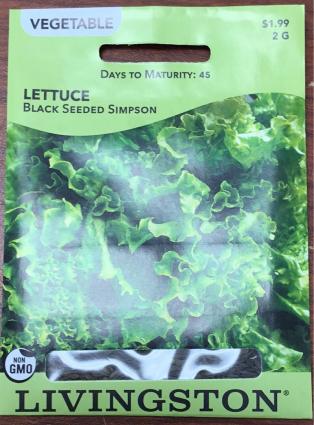 LETTUCE-BLACK SEEDED SIMPSON